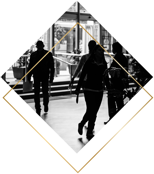 Co-Pilot Experiencia