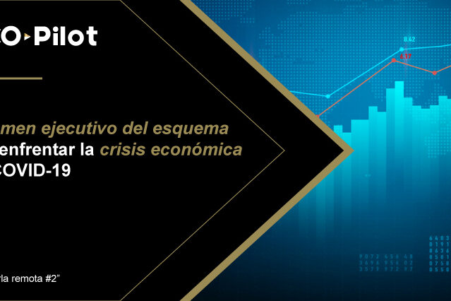 Resumen ejecutivo del esquema para enfrentar crisis por covid-19